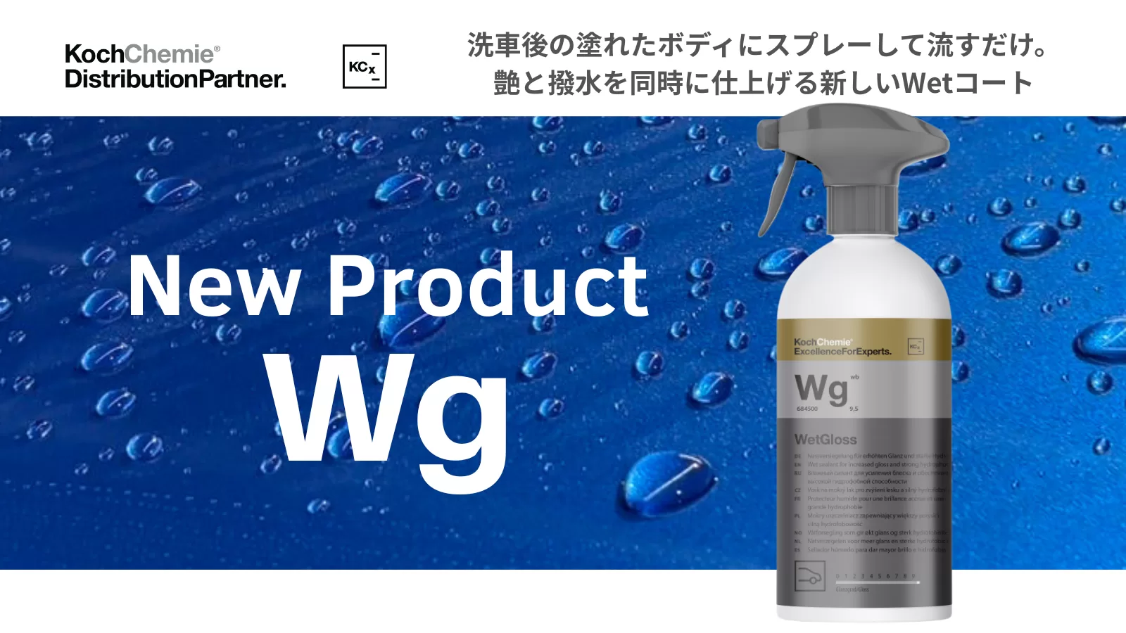 Wg】WetGloss（ウェットグロス）｜コッホケミー